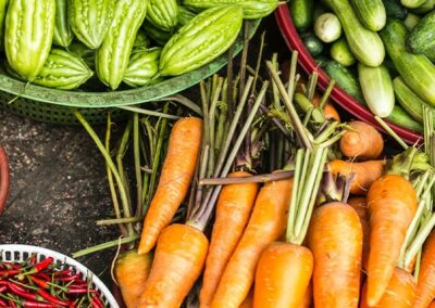 CBC Iberia | Biogard division