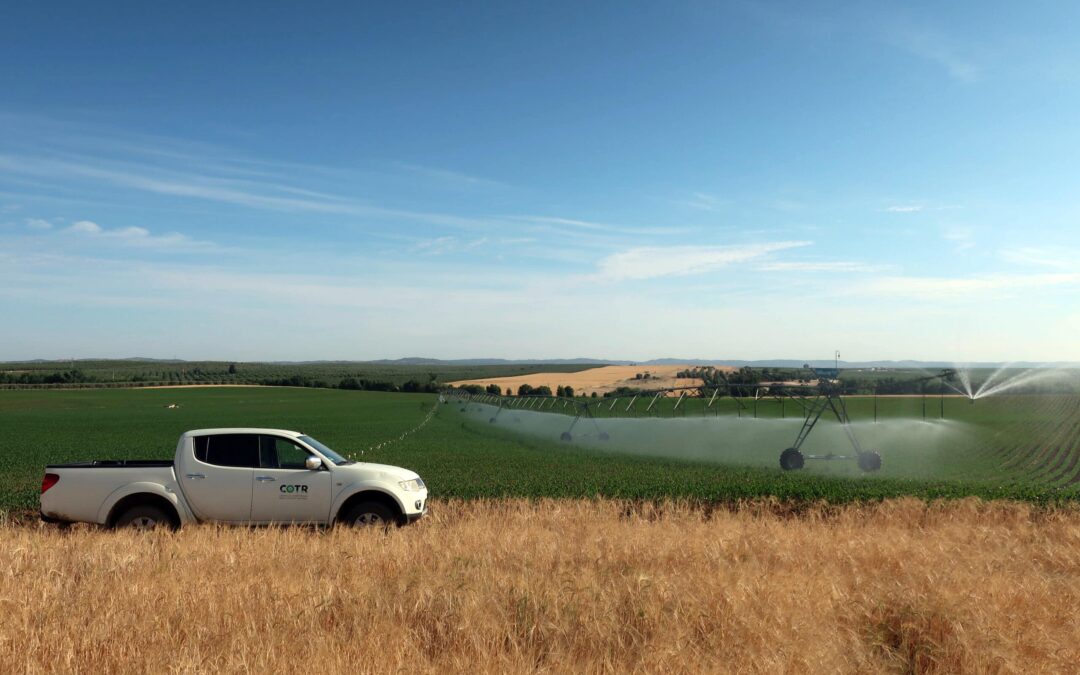 COTR (Centro de Competências para o Regadio Nacional)