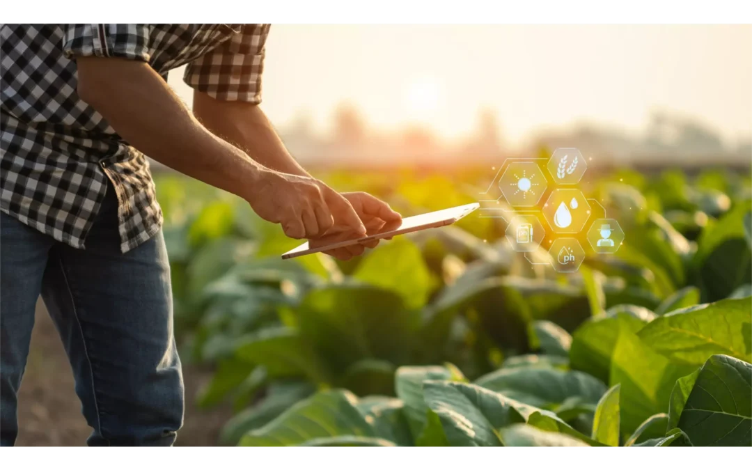 Cesens Contribuye al Proyecto Europeo NitroScope