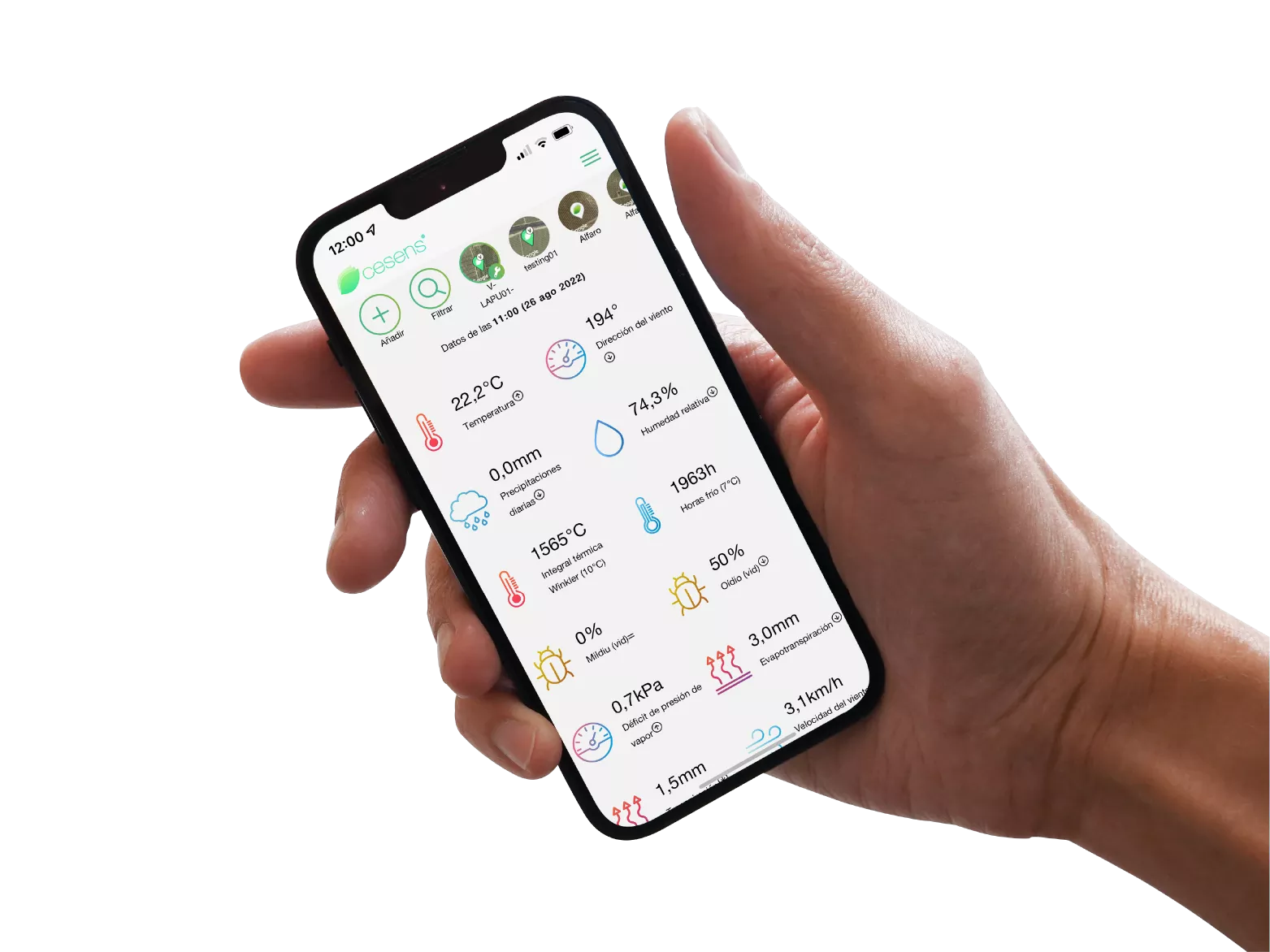 cesens tienda Mano tienda