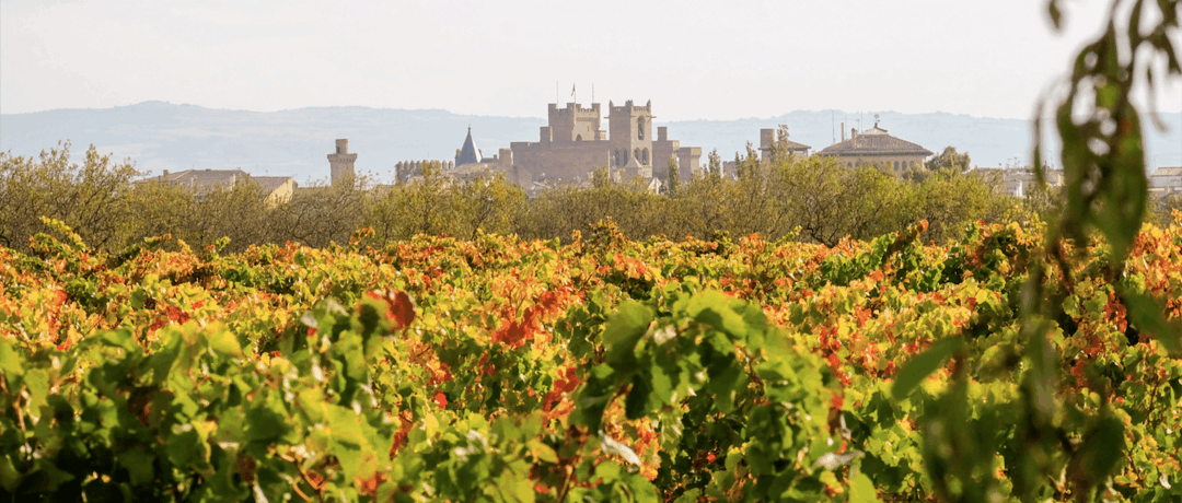 Bodega Vega del Castillo
